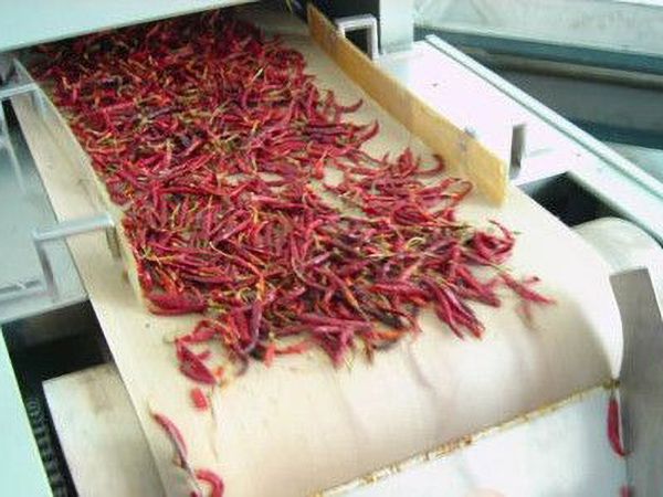 果蔬微波烘幹設備